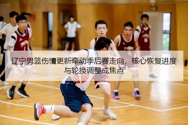 liao-ning-nan-lan-shang-qing-geng-xin-qian-dong-ji-hou-sai-zou-xiang-he-xin-hui-fu-jin-du-yu-lun-huan-tiao-zheng-cheng-2-563.jpg