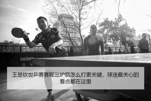 王楚钦世乒赛赛程出炉后怎么打更关键，球迷最关心的看点都在这里